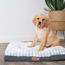 Cloud Comfort Pet Bed